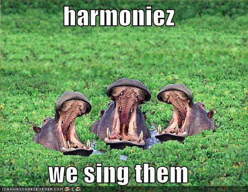 hippos-sing-harmony.jpg