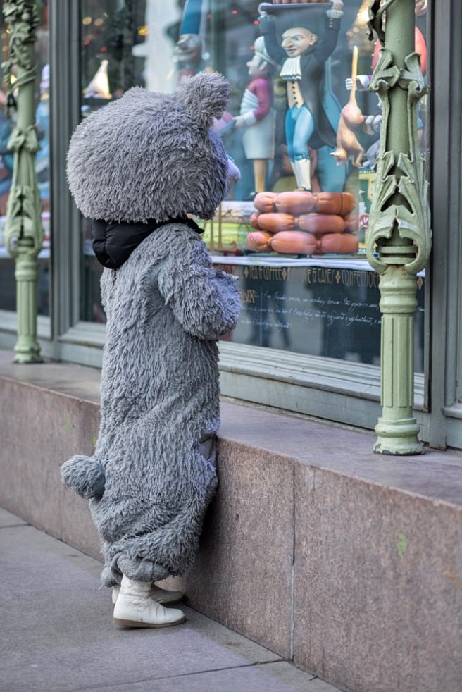 7 funny candid photography hungry bear yakov volkind
