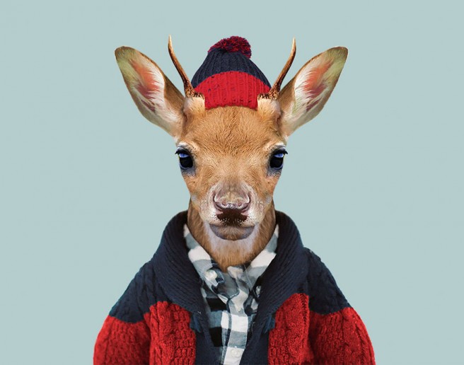 10 funny animal photo manipulation white tailed deer yago partal