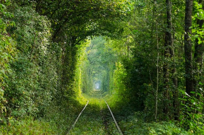11 beautiful garden tunnel ukraine sergey miroshnik