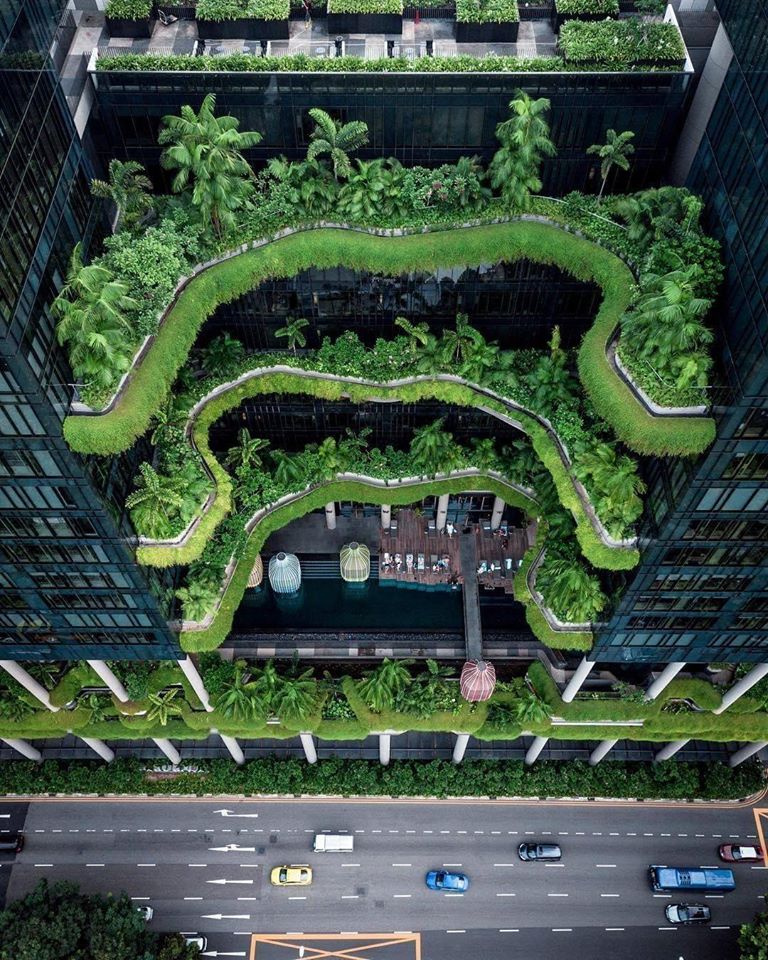 amazing picture architecture design terrace garden singapore